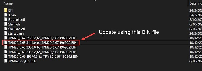 Infineon TPM chip - Update usin this BIN file