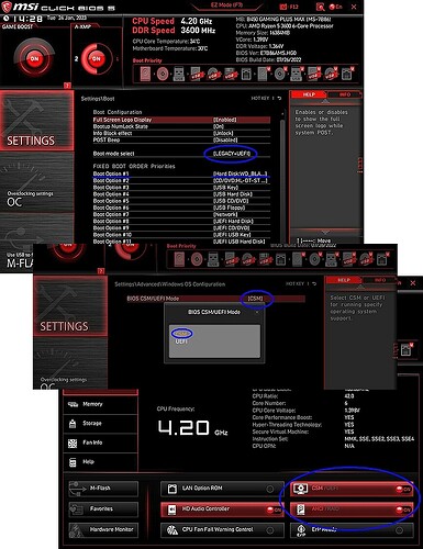 Basic Bios Settings