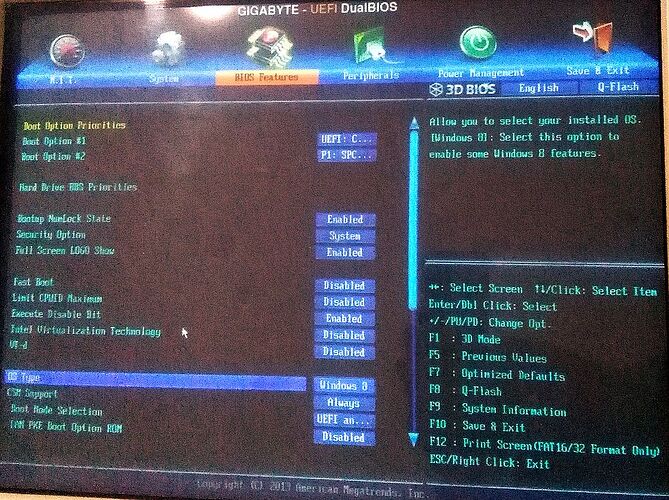 Z77X-D3H Bios