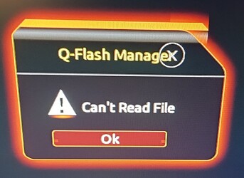 QFlash Manager Can't Read File