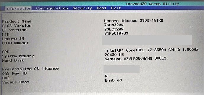 BIOS information screen