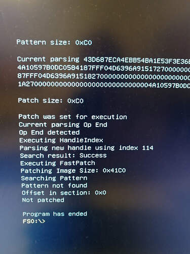 FPT-Patch-Fail