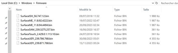 Windows Firmware Folder
