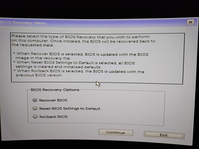 bios recovery