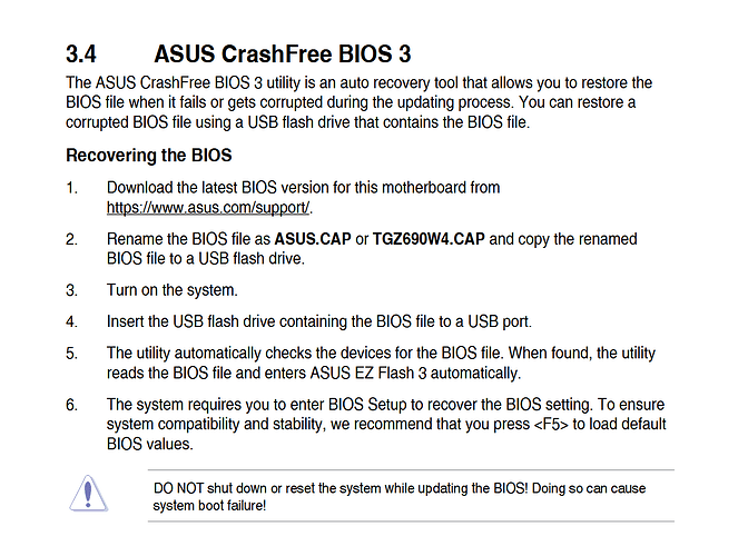 Asus_TGZ690W4_Flashback
