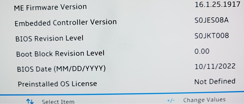 [Problem] Lenovo ThinkStation P3 Ultra Type 30HB - BIOS Update Failure ...