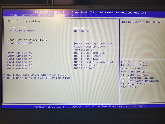 op-lp2-bios4.jpg