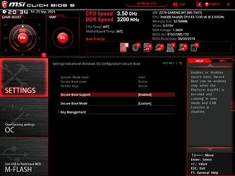 MSI_SnapShot_02