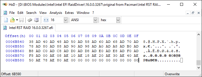 RaidDriver.efi-variant1.png