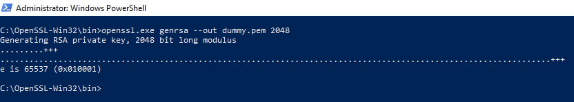 11_OpenSSL_Dummy.PNG