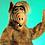 Alf