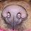 Yorickdowne